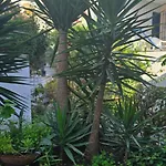 Dom wakacyjny Ageri Ii Front