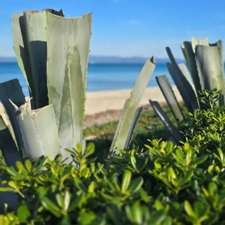 Ferienhaus Ageri Ii Front Chaniotis