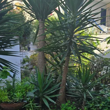 Holiday home Ageri Ii Front