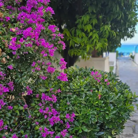 Holiday home Ageri Ii Front