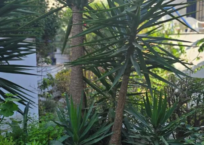 Vakantiehuis Ageri Ii Front