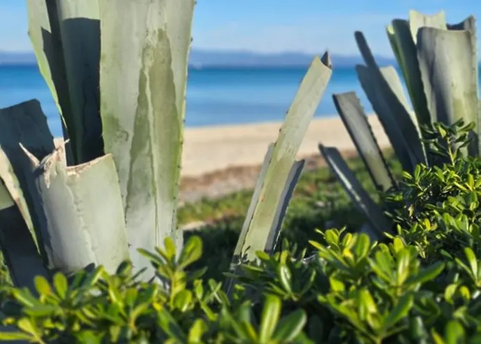 Case de vacanță Ageri Ii Front Hanioti