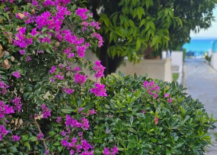 Case de vacanță Ageri Ii Front